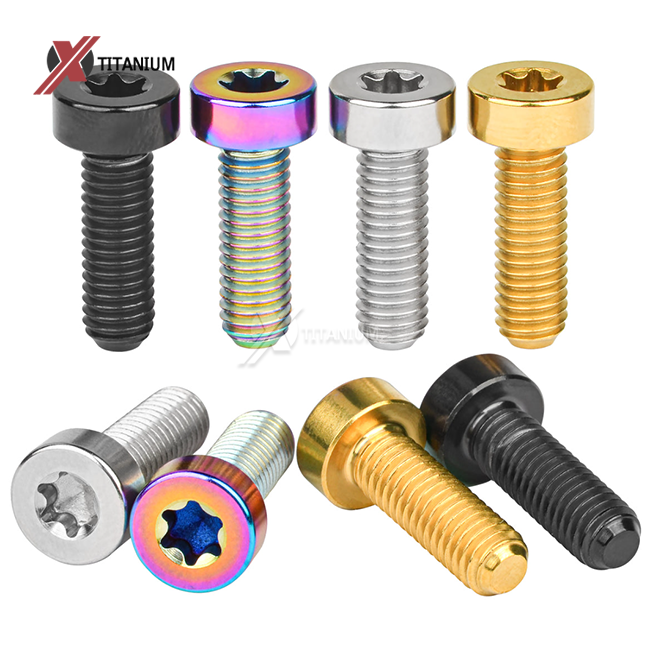 Titanium Torx Cheese Head Bolts